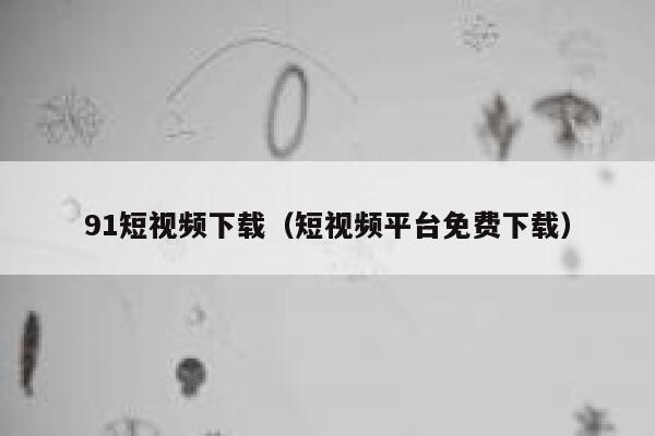 91短视频下载（短视频平台免费下载）