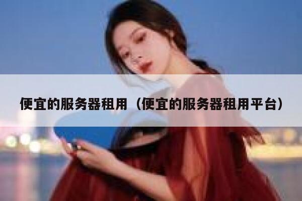 便宜的服务器租用（便宜的服务器租用平台）