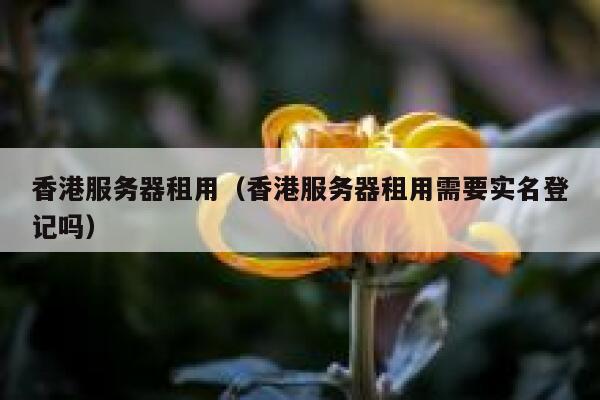 香港服务器租用（香港服务器租用需要实名登记吗）