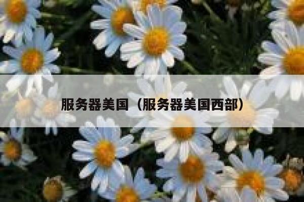 服务器美国（服务器美国西部）