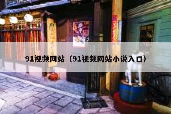 91视频网站（91视频网站小说入口）