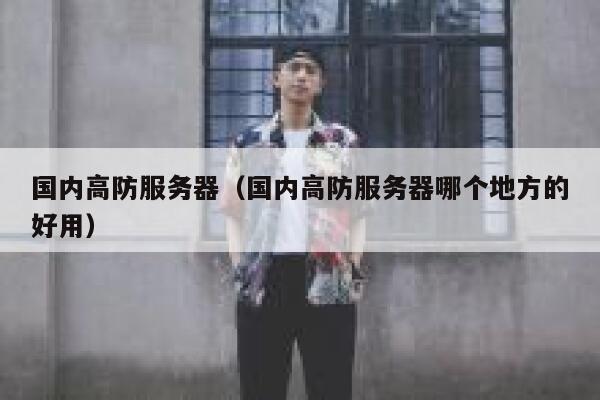 国内高防服务器（国内高防服务器哪个地方的好用）