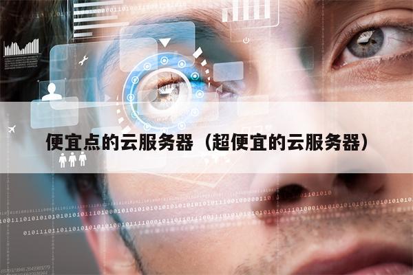 便宜点的云服务器（超便宜的云服务器）