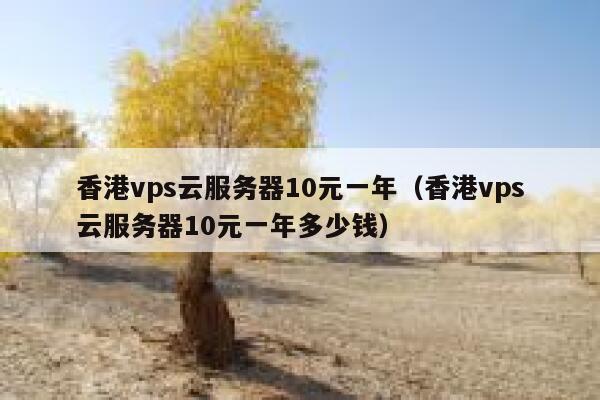 香港vps云服务器10元一年（香港vps云服务器10元一年多少钱）