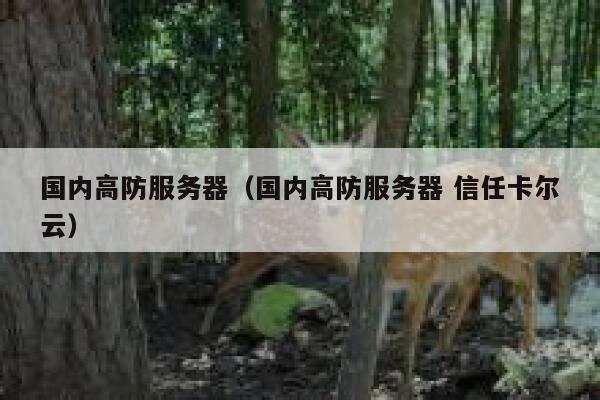 国内高防服务器（国内高防服务器 信任卡尔云）