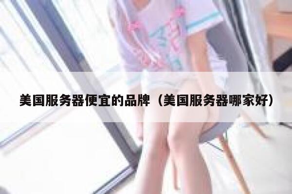 美国服务器便宜的品牌（美国服务器哪家好）