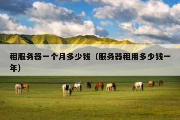 租服务器一个月多少钱（服务器租用多少钱一年）