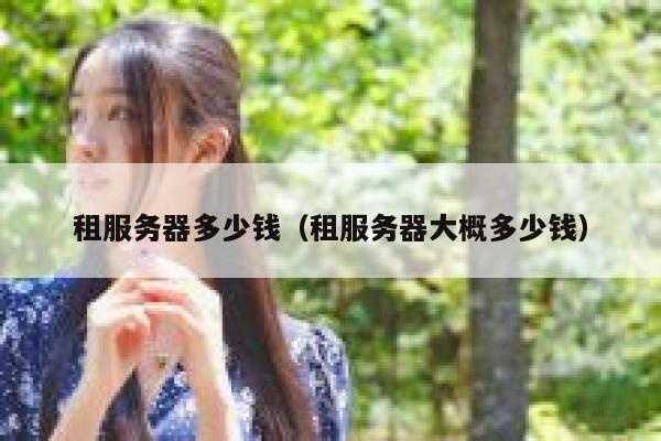 租服务器多少钱（租服务器大概多少钱）