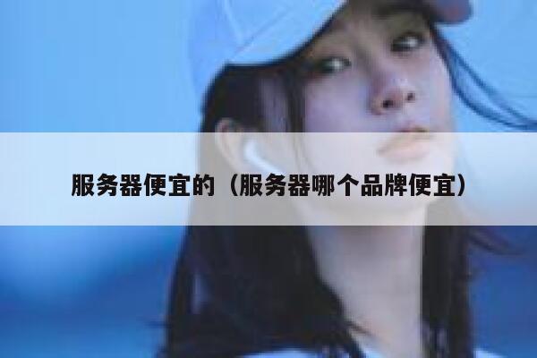 服务器便宜的（服务器哪个品牌便宜）