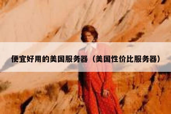 便宜好用的美国服务器（美国性价比服务器）