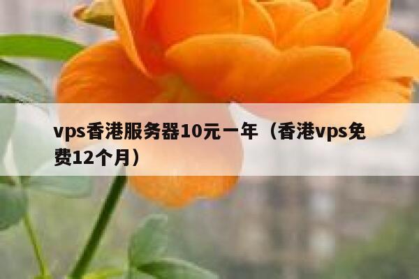 vps香港服务器10元一年（香港vps免费12个月）