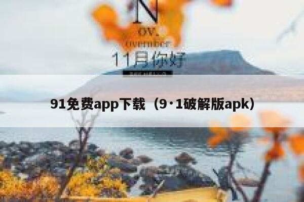 91免费app下载（9·1破解版apk）