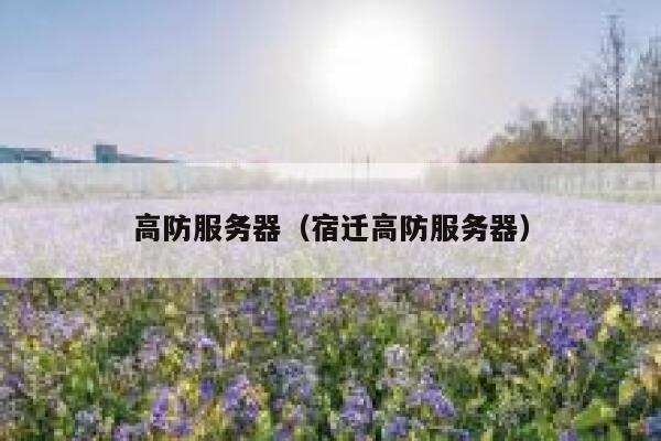 高防服务器（宿迁高防服务器）