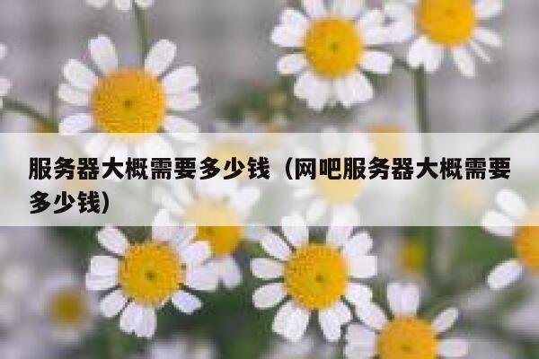 服务器大概需要多少钱（网吧服务器大概需要多少钱）