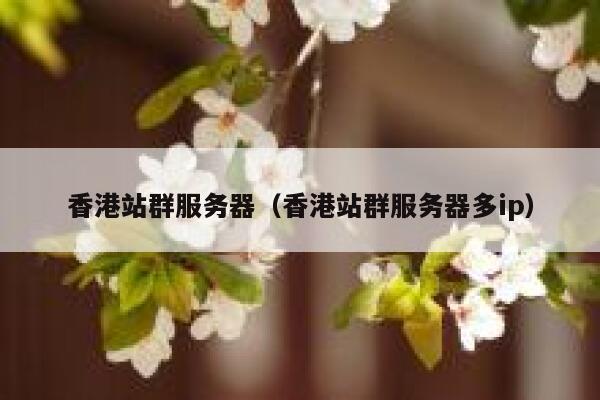 香港站群服务器（香港站群服务器多ip）