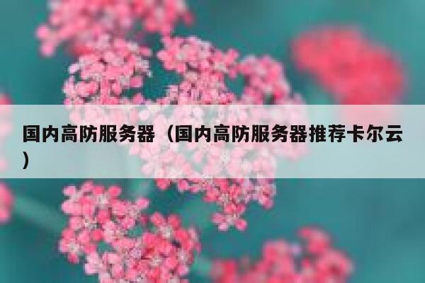 国内高防服务器（国内高防服务器推荐卡尔云）