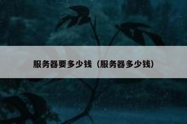 服务器要多少钱（服务器多少钱）