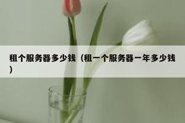 租个服务器多少钱（租一个服务器一年多少钱）