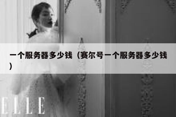一个服务器多少钱（赛尔号一个服务器多少钱）