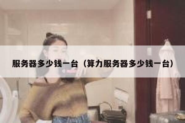 服务器多少钱一台（算力服务器多少钱一台）