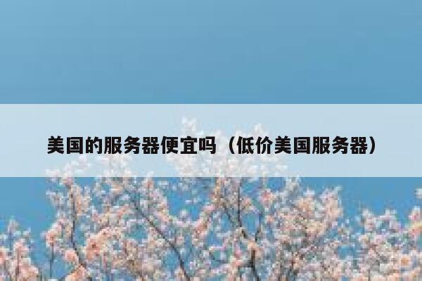 美国的服务器便宜吗（低价美国服务器）