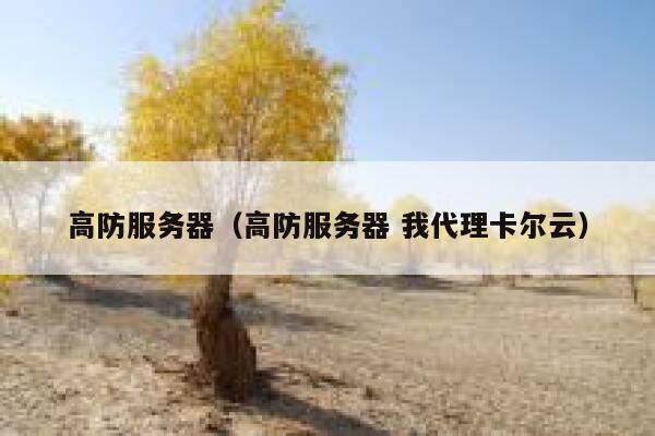 高防服务器（高防服务器 我代理卡尔云）