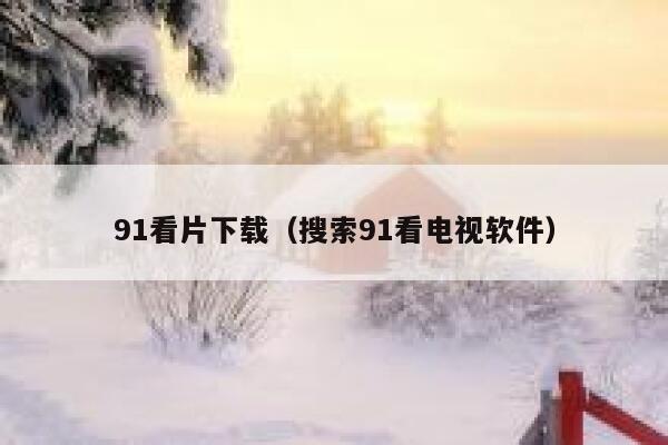 91看片下载（搜索91看电视软件）