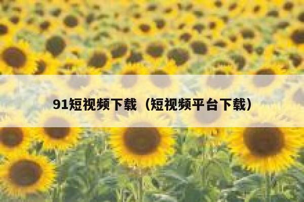 91短视频下载（短视频平台下载）