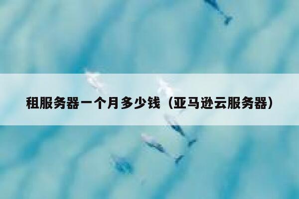 租服务器一个月多少钱（亚马逊云服务器）