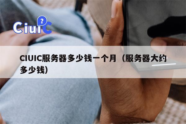 CIUIC服务器多少钱一个月（服务器大约多少钱）