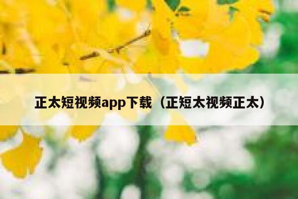 正太短视频app下载（正短太视频正太）