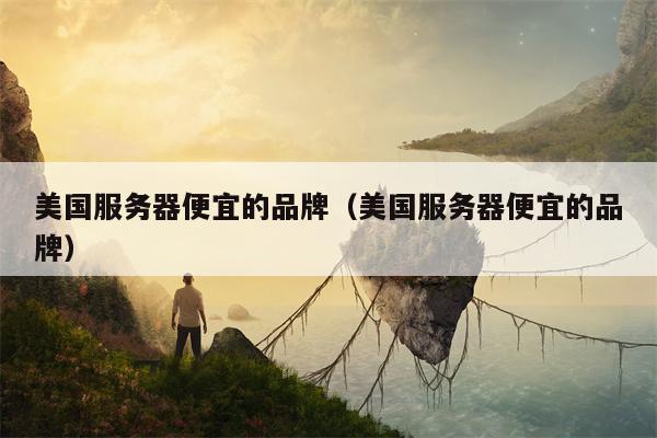 美国服务器便宜的品牌（美国服务器便宜的品牌）