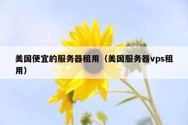 美国便宜的服务器租用（美国服务器vps租用）