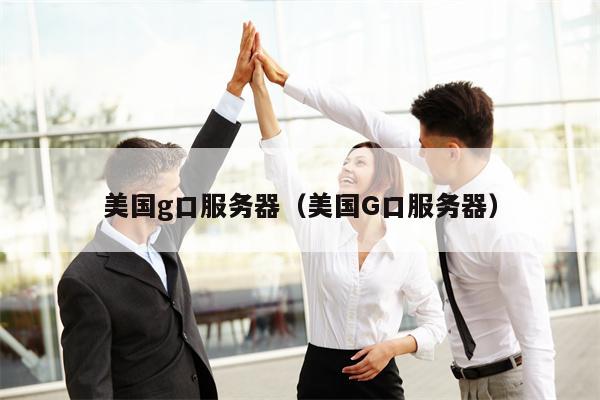美国g口服务器（美国G口服务器）