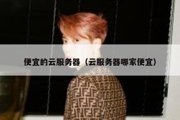 便宜的云服务器（云服务器哪家便宜）