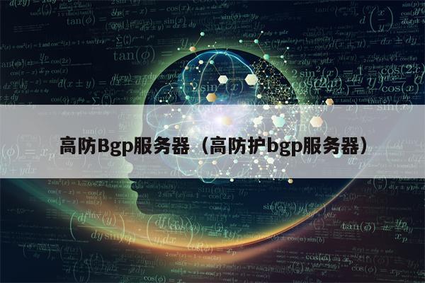 高防Bgp服务器（高防护bgp服务器）