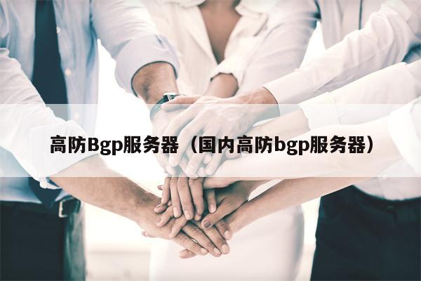 高防Bgp服务器（国内高防bgp服务器）