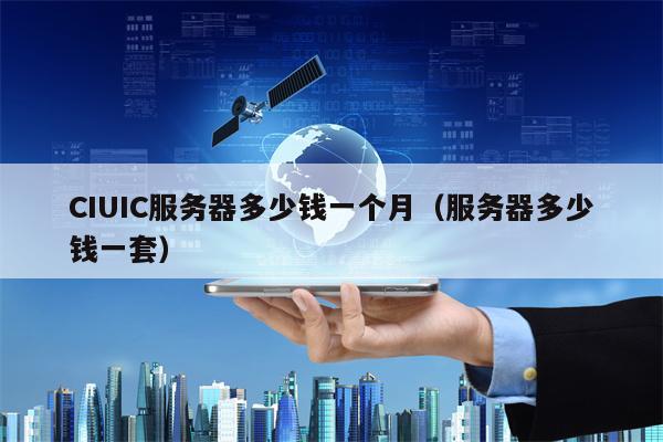 CIUIC服务器多少钱一个月（服务器多少钱一套）