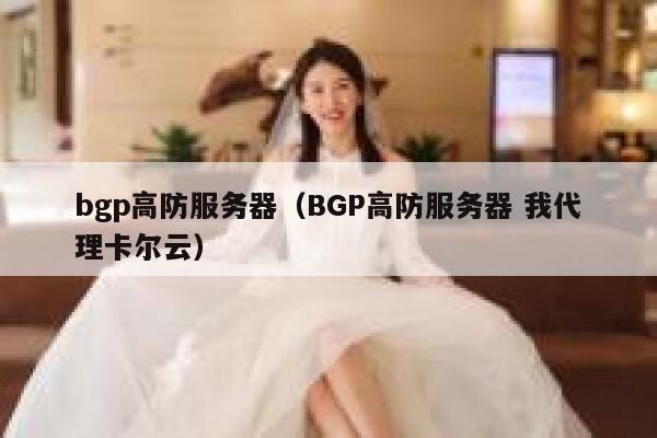 bgp高防服务器（BGP高防服务器 我代理卡尔云）