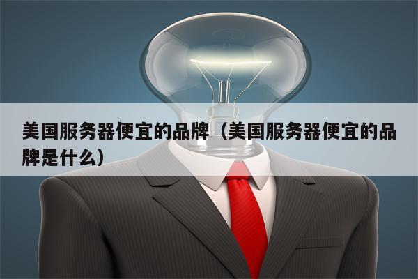美国服务器便宜的品牌（美国服务器便宜的品牌是什么）