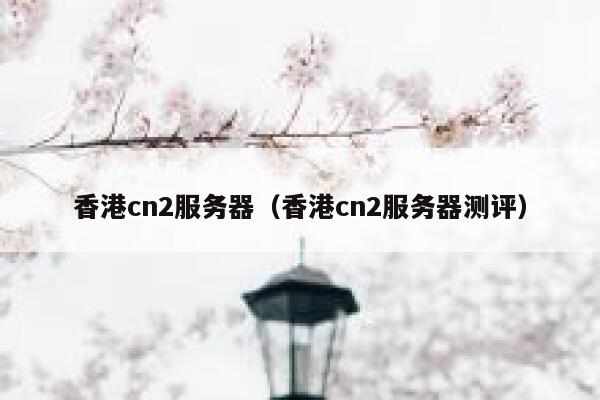 香港cn2服务器（香港cn2服务器测评）