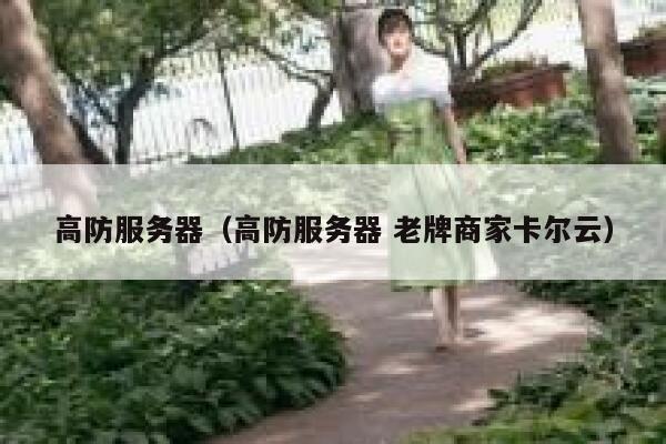 高防服务器（高防服务器 老牌商家卡尔云）