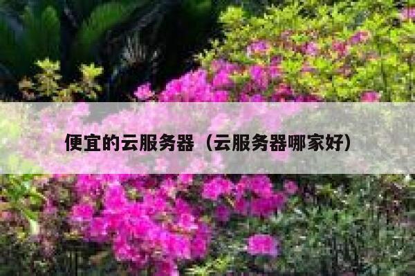 便宜的云服务器（云服务器哪家好）