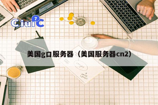 美国g口服务器（美国服务器cn2）