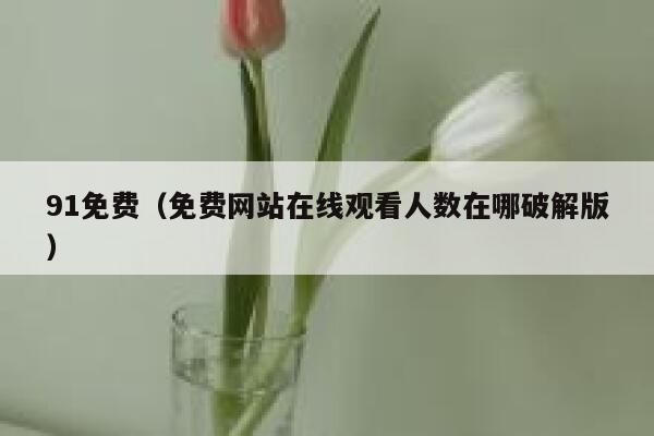 91免费（免费网站在线观看人数在哪破解版）