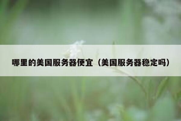 哪里的美国服务器便宜（美国服务器稳定吗）