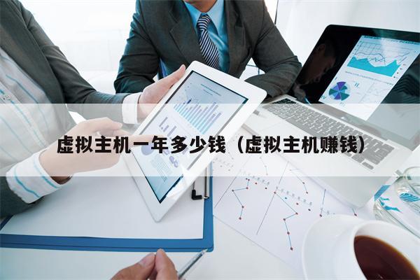 虚拟主机一年多少钱（虚拟主机赚钱）