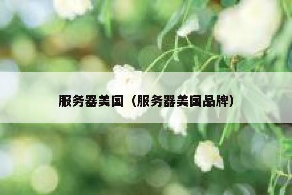 服务器美国（服务器美国品牌）