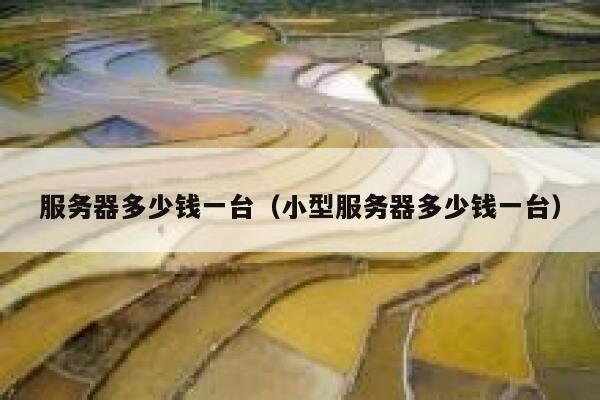服务器多少钱一台（小型服务器多少钱一台）