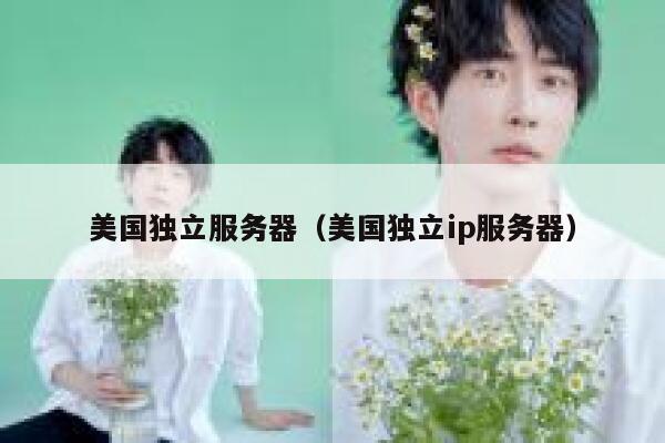 美国独立服务器（美国独立ip服务器）